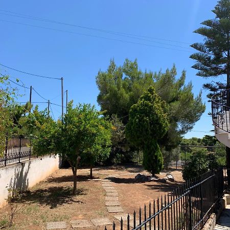 Villa Kavos - Isthmia Corinth 외부 사진